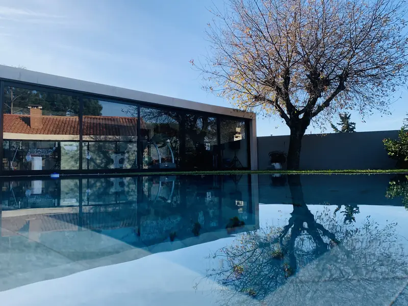 Árbol desnudo y fachada de cristal reflejados en el agua de la piscina